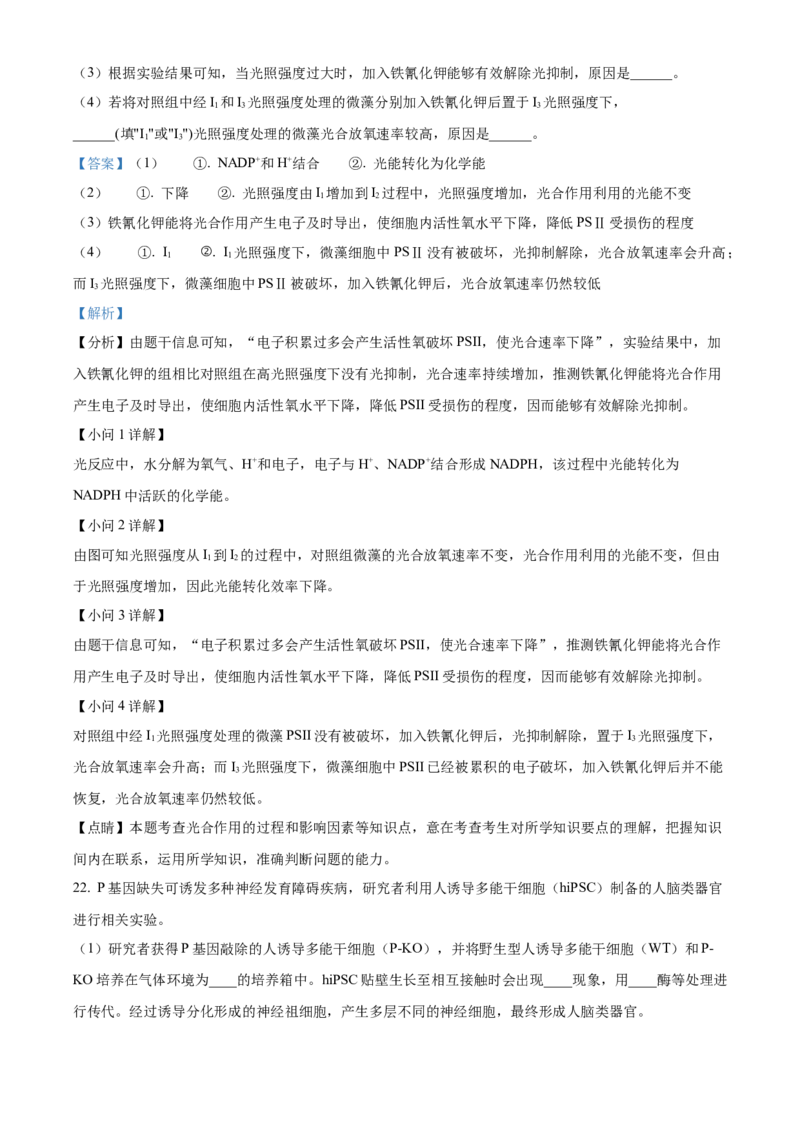 辽宁省鞍山市普通高中2024届高三下学期第二次质量监测试题生物Word版含解析(1)_2024年4月_024月合集_2024届辽宁省鞍山市高三下学期第二次质量监测