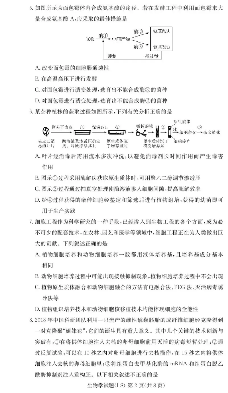 湖南省长沙市麓山国际实验学校2024-2025学年高二下学期第一次学情检测生物试卷（PDF版，含答案）_2024-2025高二（7-7月题库）_2025年04月试卷(1)