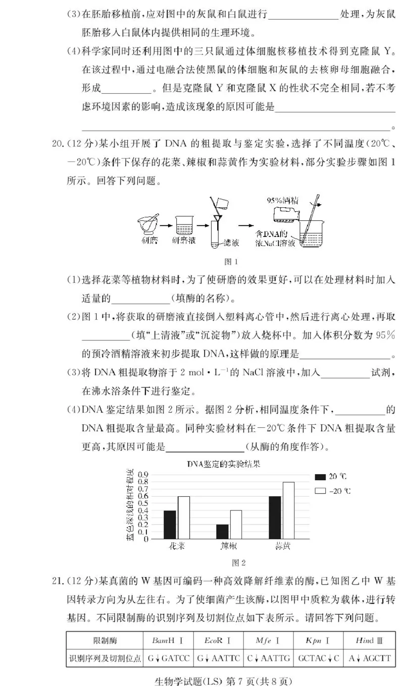 湖南省长沙市麓山国际实验学校2024-2025学年高二下学期第一次学情检测生物试卷（PDF版，含答案）_2024-2025高二（7-7月题库）_2025年04月试卷(1)