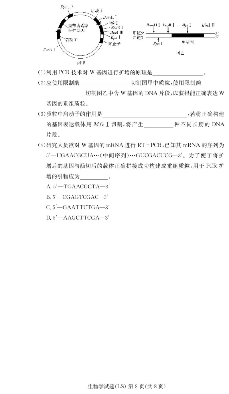 湖南省长沙市麓山国际实验学校2024-2025学年高二下学期第一次学情检测生物试卷（PDF版，含答案）_2024-2025高二（7-7月题库）_2025年04月试卷(1)