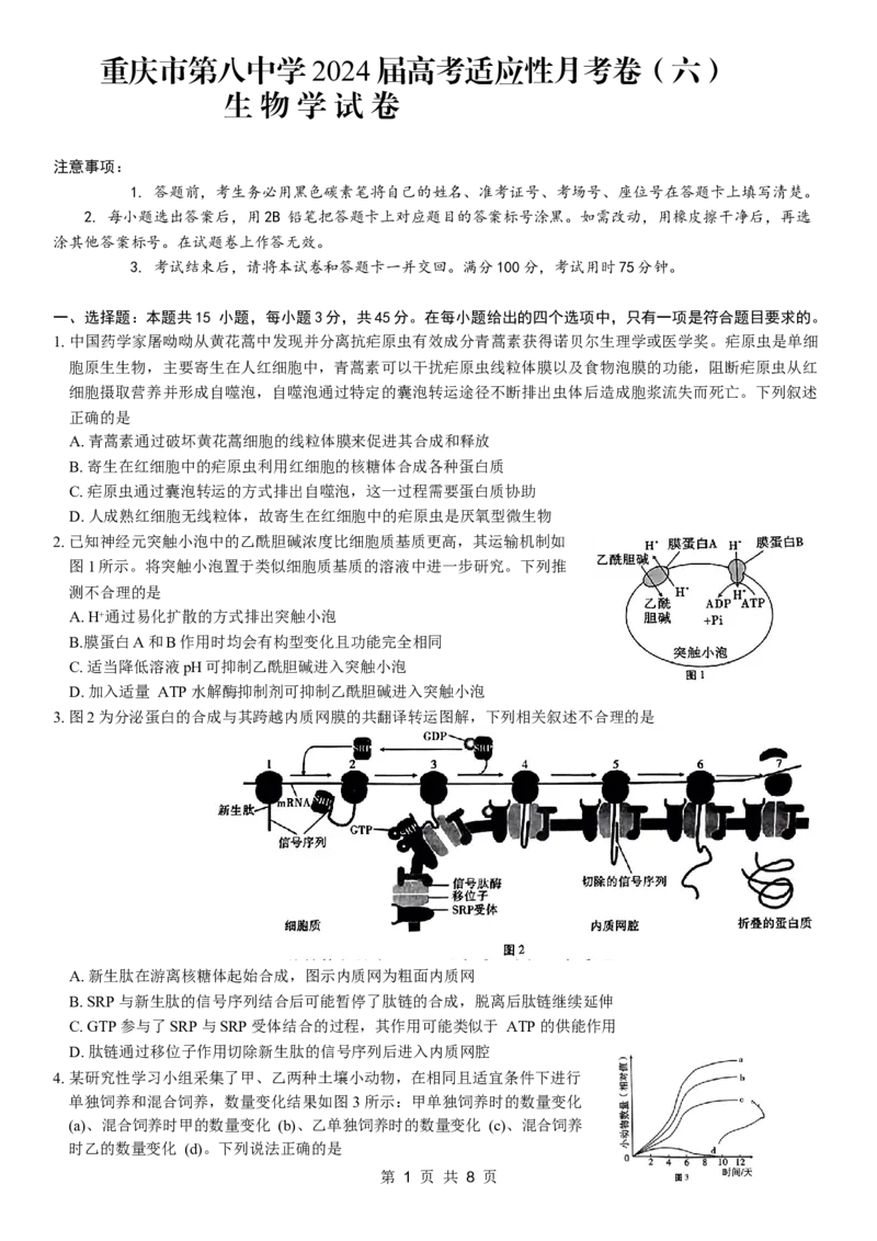 重庆市第八中学2024届高考适应性月考卷（六）生物试题_2024年3月_013月合集_2024届重庆市第八中学高考适应性月考卷（六）_重庆市第八中学2024届高考适应性月考卷（六）生物