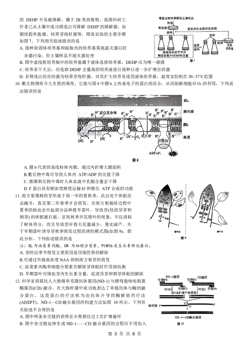 重庆市第八中学2024届高考适应性月考卷（六）生物试题_2024年3月_013月合集_2024届重庆市第八中学高考适应性月考卷（六）_重庆市第八中学2024届高考适应性月考卷（六）生物