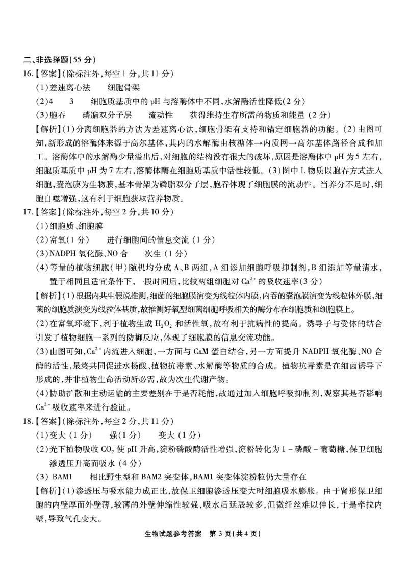 南开第一次联考-生物答案_2024-2025高三（6-6月题库）_2024年09月试卷_0910重庆市南开中学校2024-2025学年高三上学期第一次质量检测