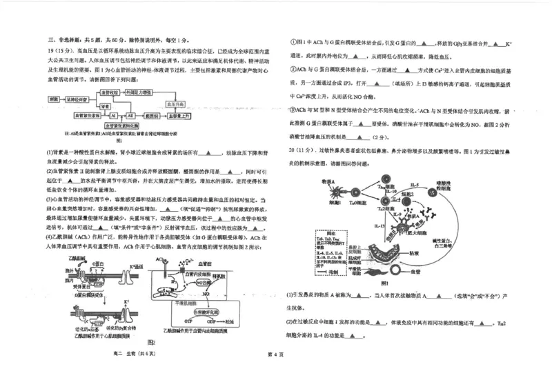江苏省海安高级中学2024-2025学年高二上学期12月阶段检测试题生物PDF版含答案_2024-2025高二（7-7月题库）_2025年01月试卷_0113江苏省海安高级中学2024-2025学年高二上学期12月阶段检测试题