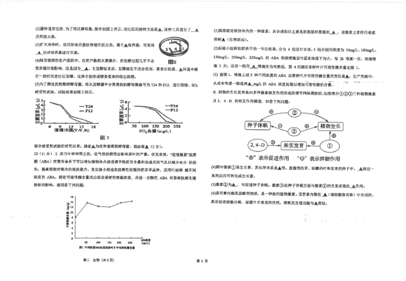 江苏省海安高级中学2024-2025学年高二上学期12月阶段检测试题生物PDF版含答案_2024-2025高二（7-7月题库）_2025年01月试卷_0113江苏省海安高级中学2024-2025学年高二上学期12月阶段检测试题