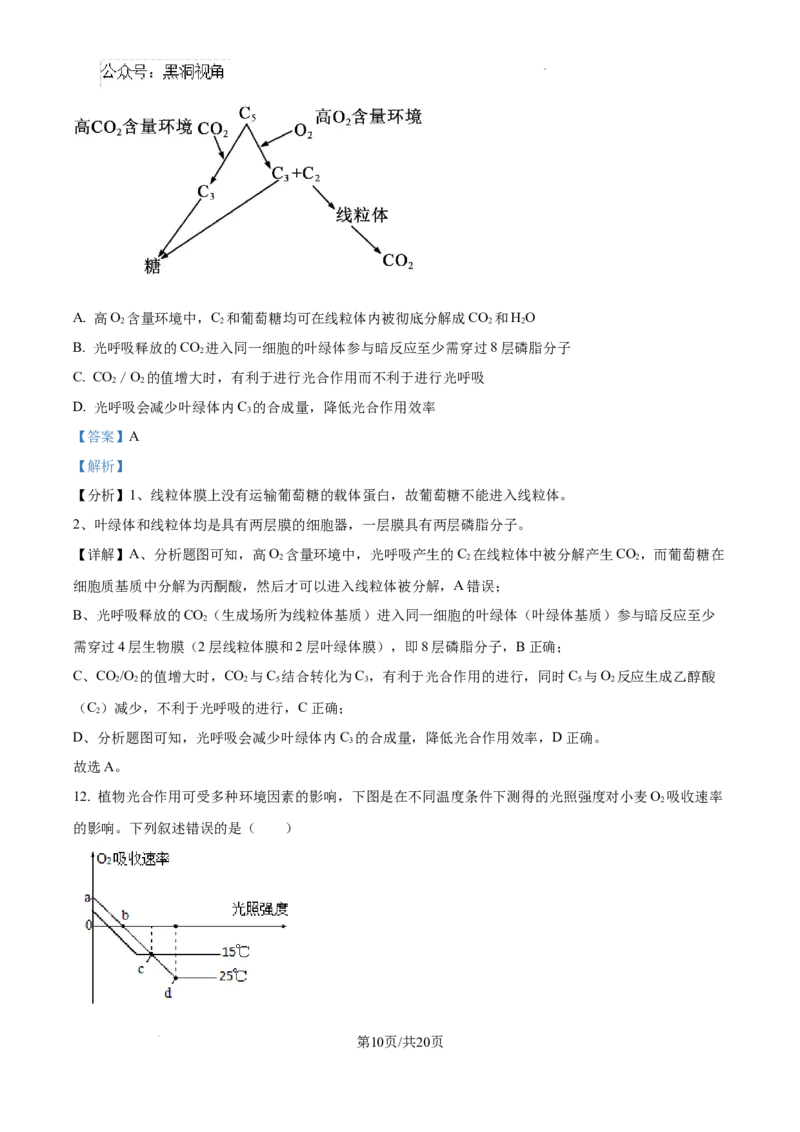 江西省宜春市丰城市第九中学2024-2025学年高三上学期第一次段考生物答案_2024-2025高三（6-6月题库）_2024年10月试卷