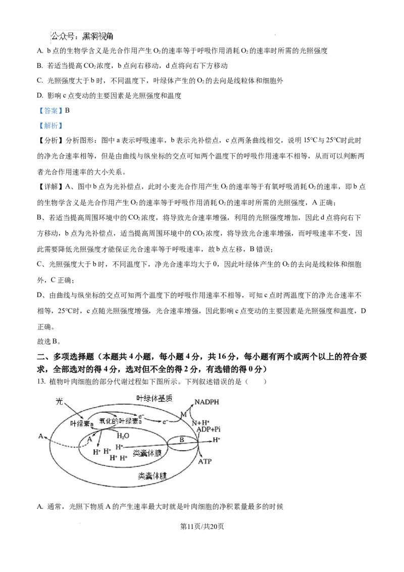江西省宜春市丰城市第九中学2024-2025学年高三上学期第一次段考生物答案_2024-2025高三（6-6月题库）_2024年10月试卷