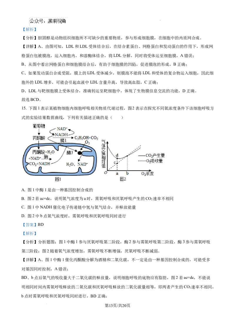 江西省宜春市丰城市第九中学2024-2025学年高三上学期第一次段考生物答案_2024-2025高三（6-6月题库）_2024年10月试卷
