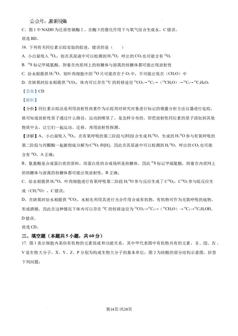 江西省宜春市丰城市第九中学2024-2025学年高三上学期第一次段考生物答案_2024-2025高三（6-6月题库）_2024年10月试卷