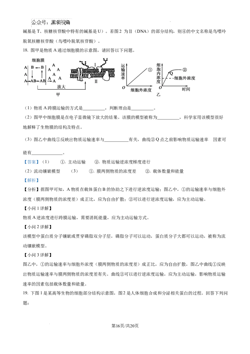 江西省宜春市丰城市第九中学2024-2025学年高三上学期第一次段考生物答案_2024-2025高三（6-6月题库）_2024年10月试卷