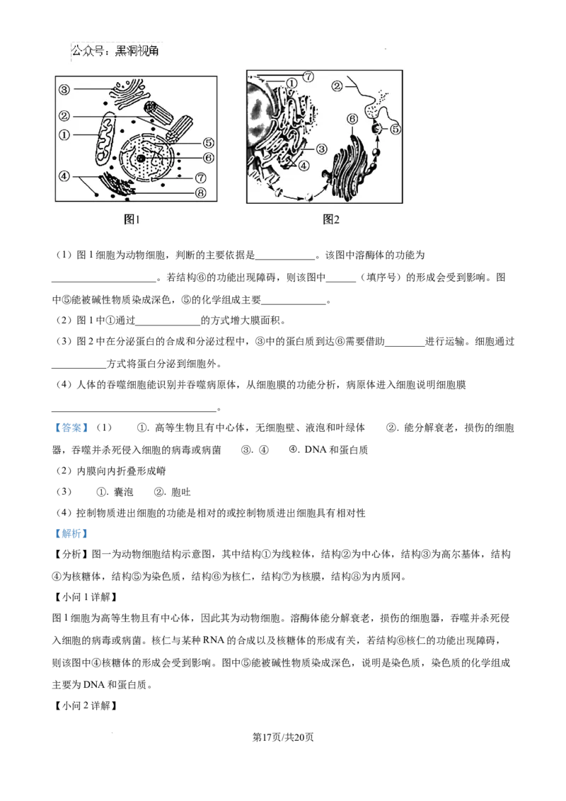 江西省宜春市丰城市第九中学2024-2025学年高三上学期第一次段考生物答案_2024-2025高三（6-6月题库）_2024年10月试卷