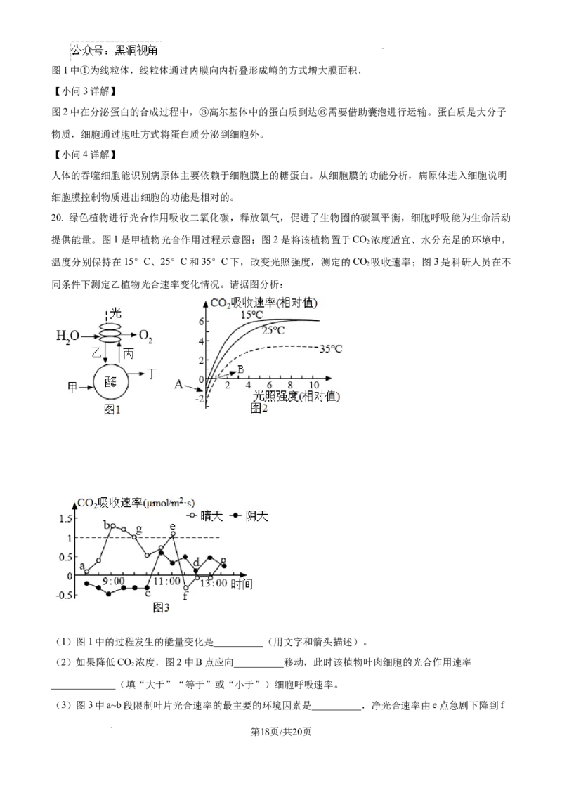 江西省宜春市丰城市第九中学2024-2025学年高三上学期第一次段考生物答案_2024-2025高三（6-6月题库）_2024年10月试卷