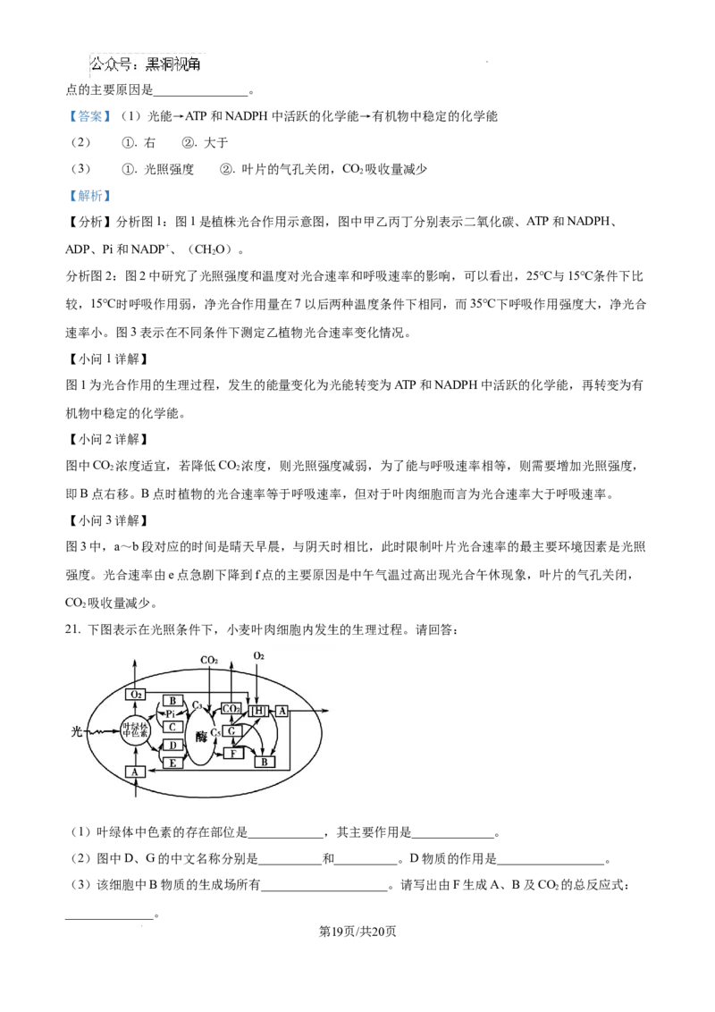 江西省宜春市丰城市第九中学2024-2025学年高三上学期第一次段考生物答案_2024-2025高三（6-6月题库）_2024年10月试卷