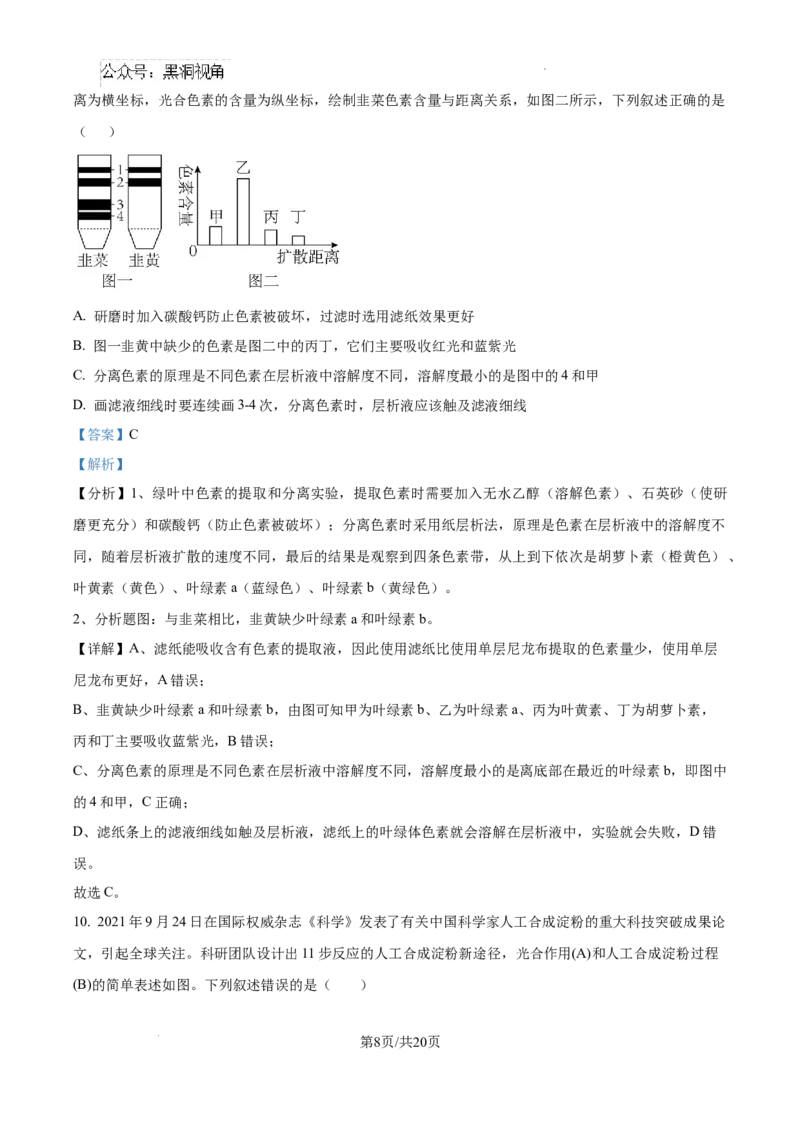 江西省宜春市丰城市第九中学2024-2025学年高三上学期第一次段考生物答案_2024-2025高三（6-6月题库）_2024年10月试卷