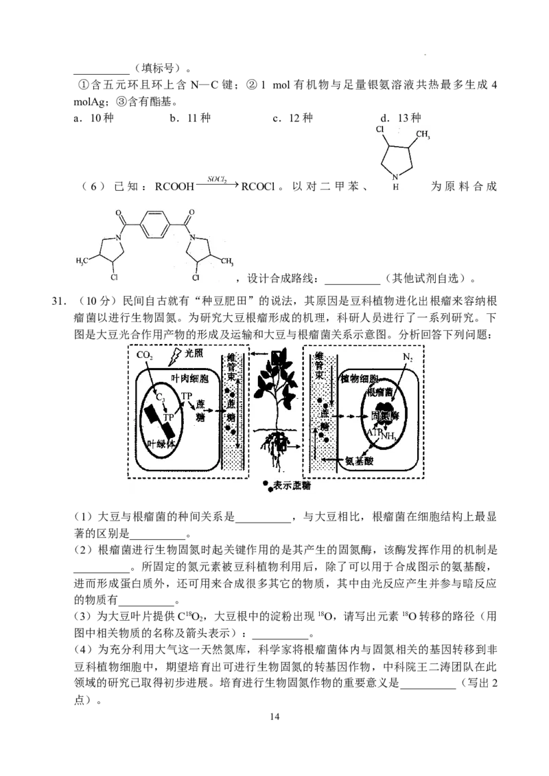 理科综合-副本_2024年5月_01按日期_6号_2024届河南省TOP二十名校高三下学期4月冲刺（一）_2024届河南省TOP二十名校高三下学期4月冲刺（一）理科综合试卷