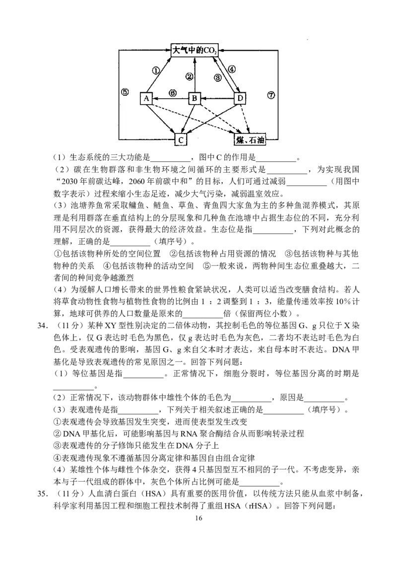 理科综合-副本_2024年5月_01按日期_6号_2024届河南省TOP二十名校高三下学期4月冲刺（一）_2024届河南省TOP二十名校高三下学期4月冲刺（一）理科综合试卷