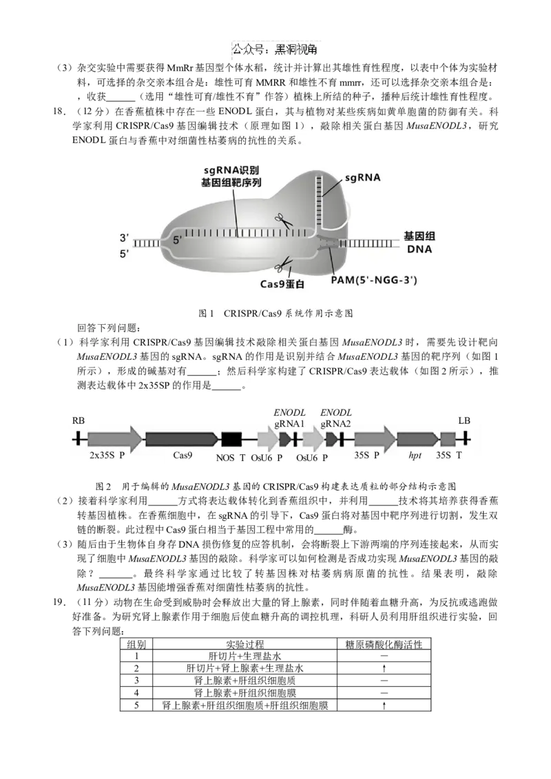 惠州市2025届高三第二次调研考试生物科试题（终定稿）_2024-2025高三（6-6月题库）_2024年10月试卷_1026广东省惠州市2025届高三第二次调研考试