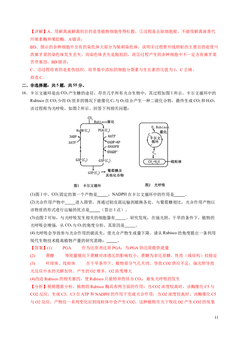 八省2025届高三&ldquo;八省联考&rdquo;考前猜想卷生物（15+5）全解全析_2024-2025高三（6-6月题库）_2025年01月试卷_01012025届高三&ldquo;八省联考&rdquo;考前猜想卷