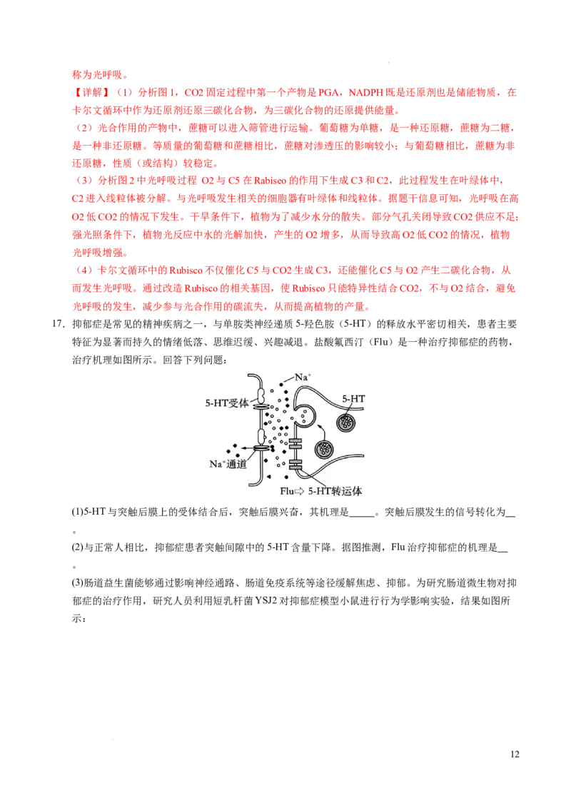 八省2025届高三&ldquo;八省联考&rdquo;考前猜想卷生物（15+5）全解全析_2024-2025高三（6-6月题库）_2025年01月试卷_01012025届高三&ldquo;八省联考&rdquo;考前猜想卷