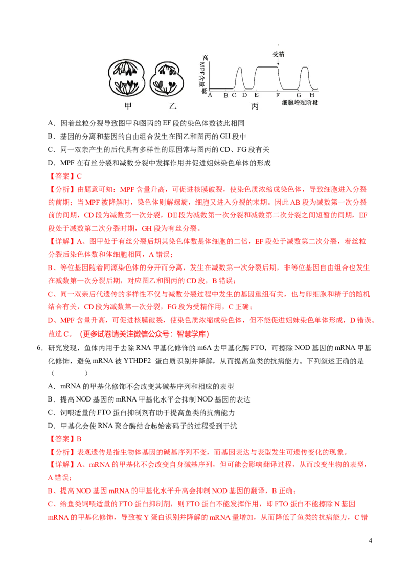 八省2025届高三&ldquo;八省联考&rdquo;考前猜想卷生物（15+5）全解全析_2024-2025高三（6-6月题库）_2025年01月试卷_01012025届高三&ldquo;八省联考&rdquo;考前猜想卷