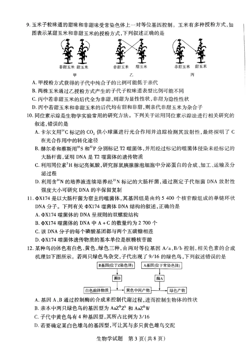 山西省临汾市2023-2024学年高三上学期11月期中生物试题(1)_2023年11月_0211月合集_2024届山西省天一大联考三晋名校联盟高三上学期11月期中联考