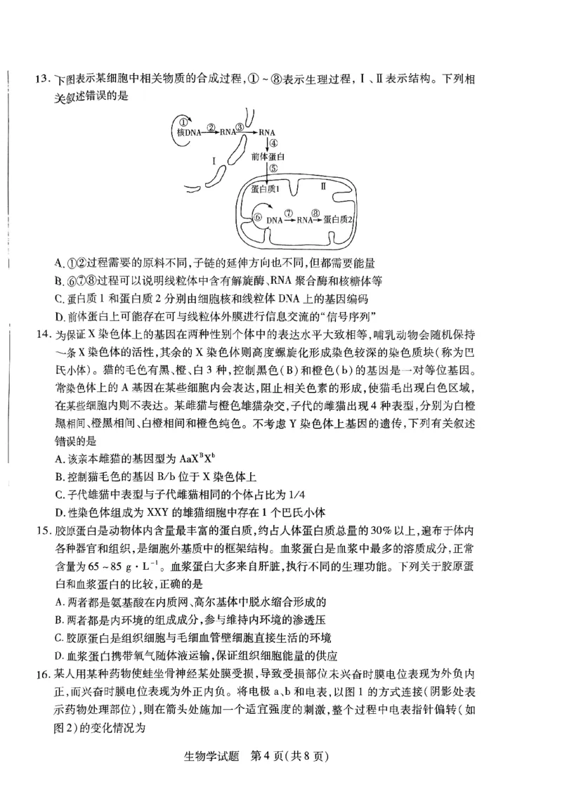 山西省临汾市2023-2024学年高三上学期11月期中生物试题(1)_2023年11月_0211月合集_2024届山西省天一大联考三晋名校联盟高三上学期11月期中联考