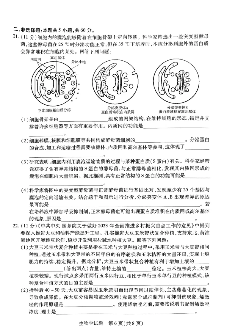 山西省临汾市2023-2024学年高三上学期11月期中生物试题(1)_2023年11月_0211月合集_2024届山西省天一大联考三晋名校联盟高三上学期11月期中联考