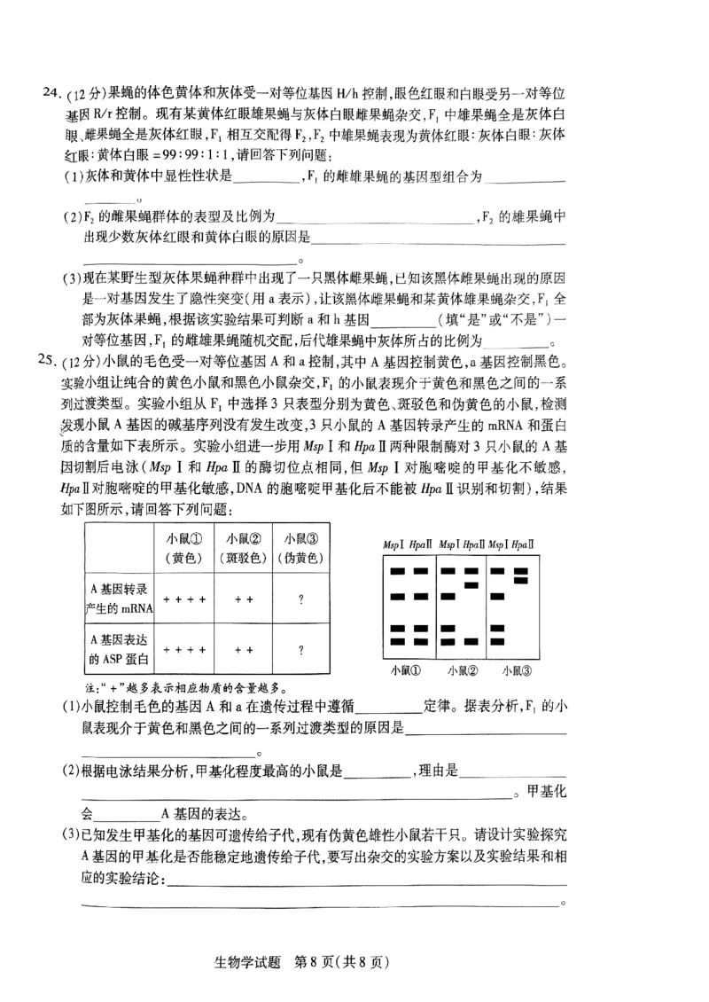 山西省临汾市2023-2024学年高三上学期11月期中生物试题(1)_2023年11月_0211月合集_2024届山西省天一大联考三晋名校联盟高三上学期11月期中联考