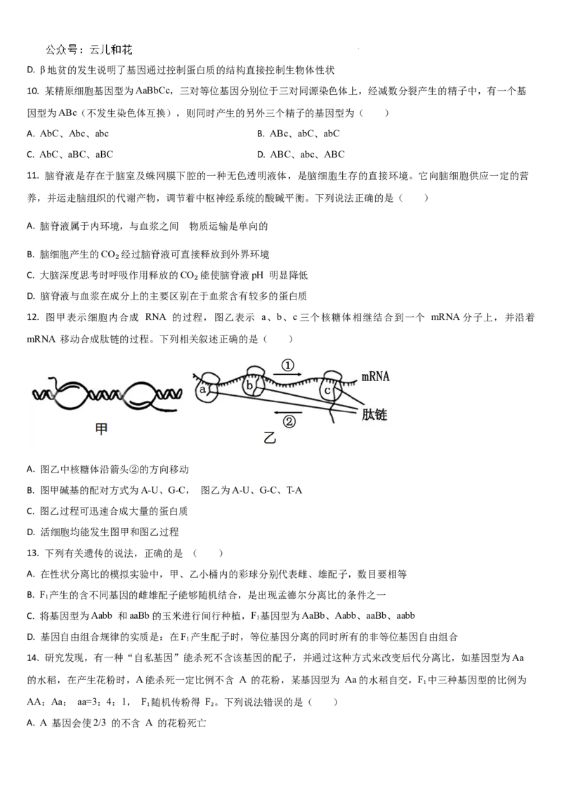 吉林省通化市梅河口市第五中学2024-2025学年高二上学期开学生物试题_2024-2025高二（7-7月题库）_2024年08月试卷_0831吉林省通化市梅河口市第五中学2024-2025学年高二上学期开学考试