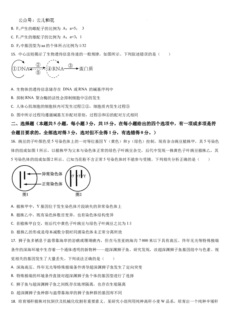 吉林省通化市梅河口市第五中学2024-2025学年高二上学期开学生物试题_2024-2025高二（7-7月题库）_2024年08月试卷_0831吉林省通化市梅河口市第五中学2024-2025学年高二上学期开学考试