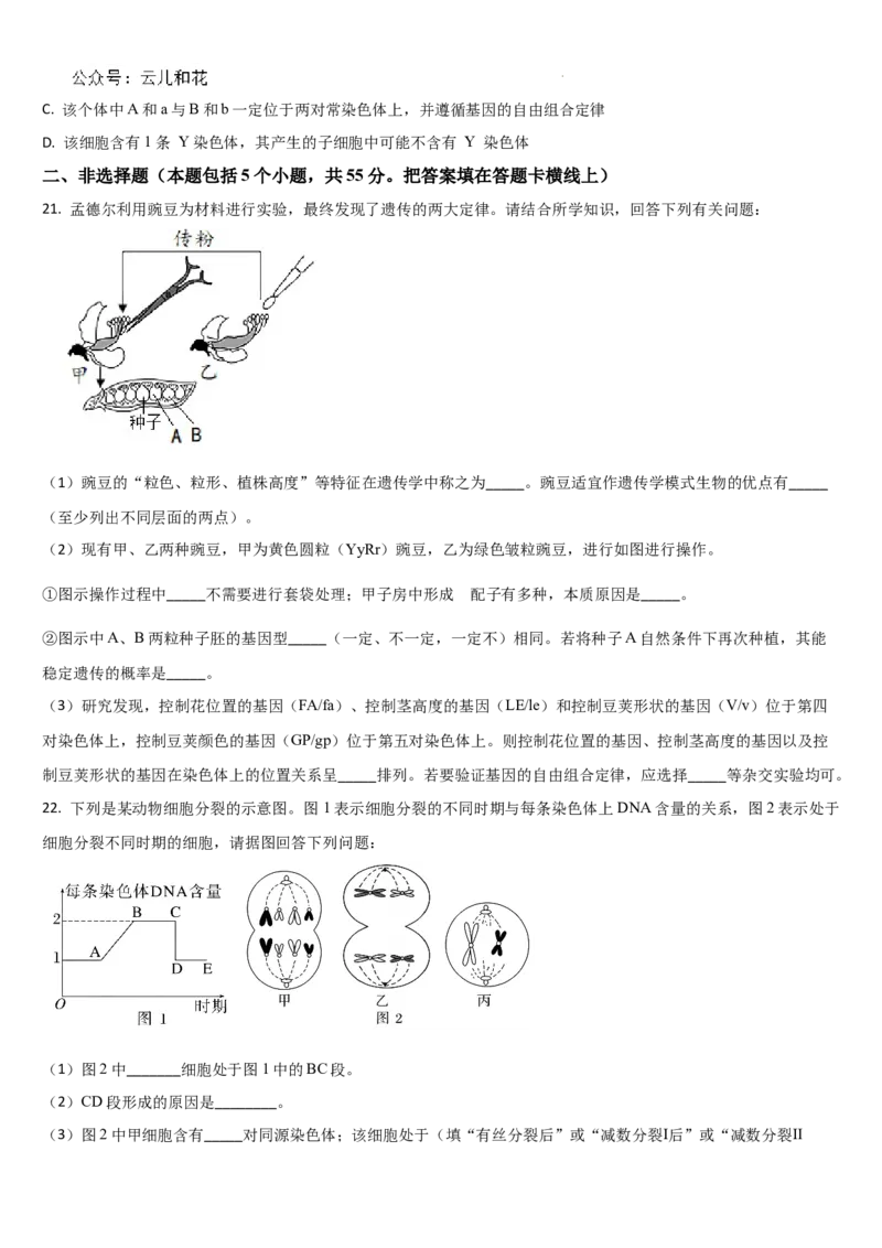 吉林省通化市梅河口市第五中学2024-2025学年高二上学期开学生物试题_2024-2025高二（7-7月题库）_2024年08月试卷_0831吉林省通化市梅河口市第五中学2024-2025学年高二上学期开学考试