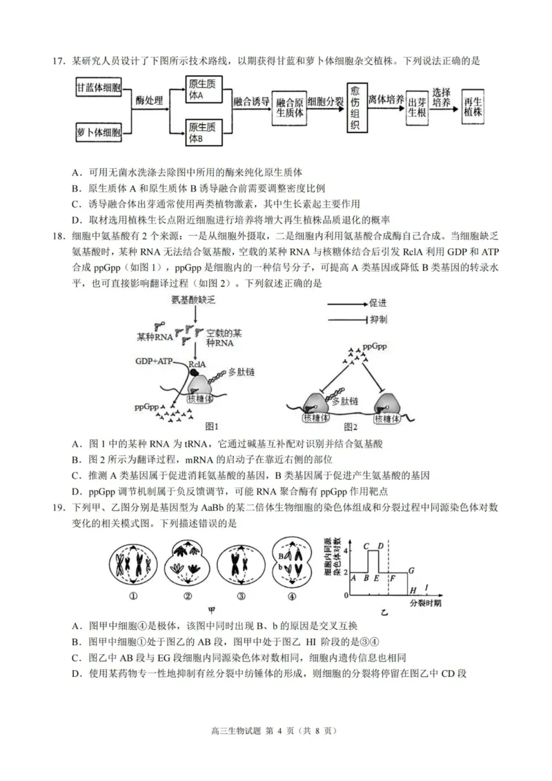 生物卷-23119+1联盟高三联考(1)_2023年11月_0211月合集_2024届浙江省9+1高中联盟高三上学期期中联考_浙江省9+1高中联盟2024届高三上学期期中联考生物
