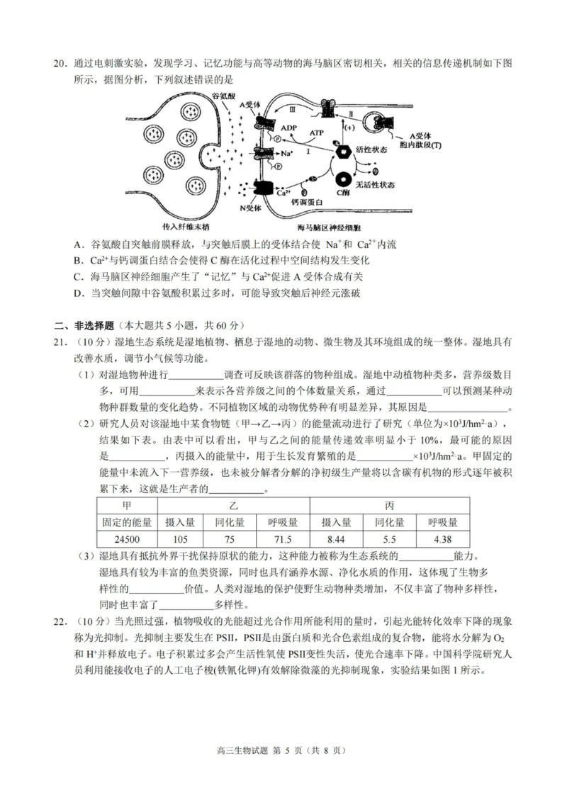生物卷-23119+1联盟高三联考(1)_2023年11月_0211月合集_2024届浙江省9+1高中联盟高三上学期期中联考_浙江省9+1高中联盟2024届高三上学期期中联考生物