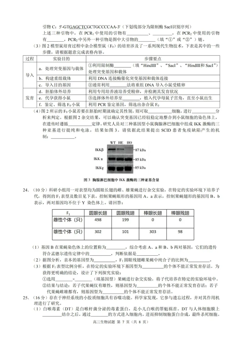 生物卷-23119+1联盟高三联考(1)_2023年11月_0211月合集_2024届浙江省9+1高中联盟高三上学期期中联考_浙江省9+1高中联盟2024届高三上学期期中联考生物