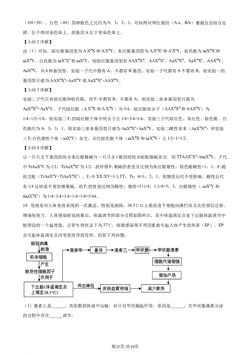 精品解析：2024届贵州省贵阳市一中高三一模生物试题（解析版）_2024年3月_013月合集_2024届贵州省贵阳市第一中学高三下学期一模考试