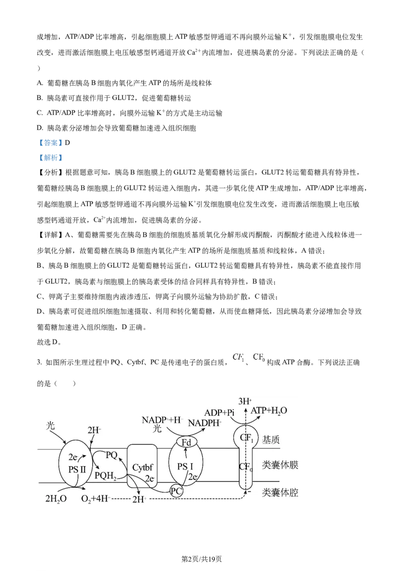 精品解析：2024届贵州省贵阳市一中高三一模生物试题（解析版）_2024年3月_013月合集_2024届贵州省贵阳市第一中学高三下学期一模考试