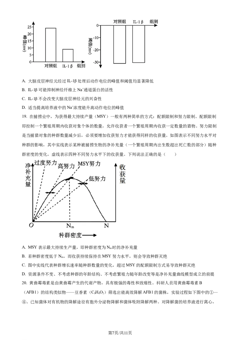 精品解析：2024届山东省聊城市高三一模生物试题（原卷版）_2024年3月_013月合集_2024届山东省聊城市高考模拟试题（一）_山东省聊城市2024年高考模拟试题（一）生物