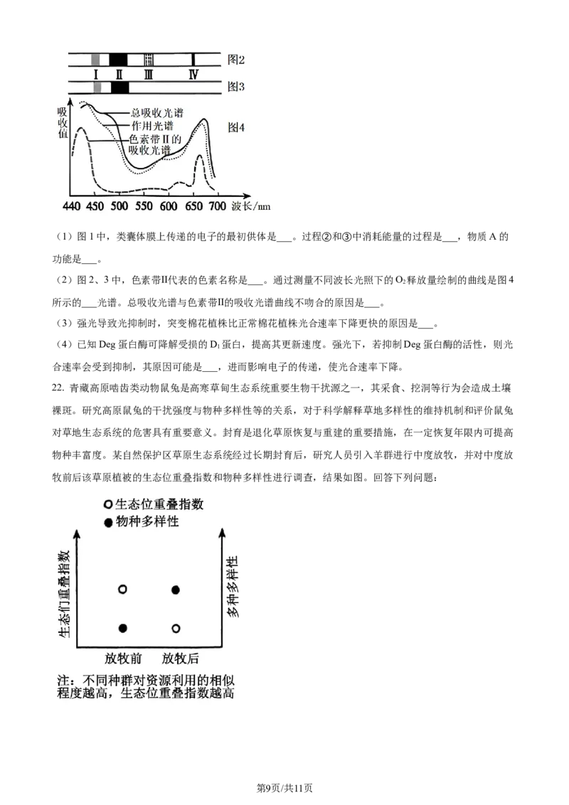 精品解析：2024届山东省聊城市高三一模生物试题（原卷版）_2024年3月_013月合集_2024届山东省聊城市高考模拟试题（一）_山东省聊城市2024年高考模拟试题（一）生物