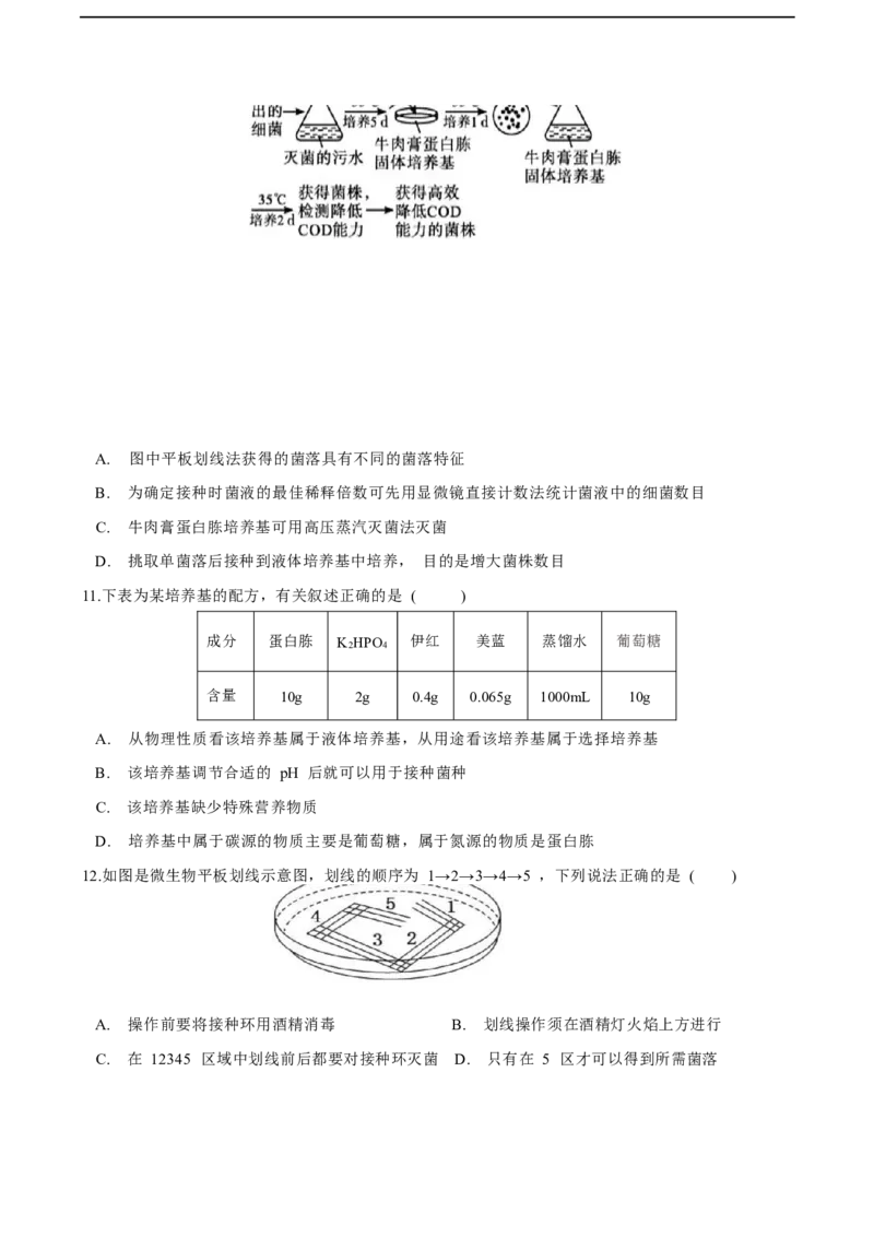 四川省眉山市仁寿县第一中学校南校区2025-2026学年高二上学期12月月考生物试题（含答案）_2024-2025高二（7-7月题库）_2026年1月高二