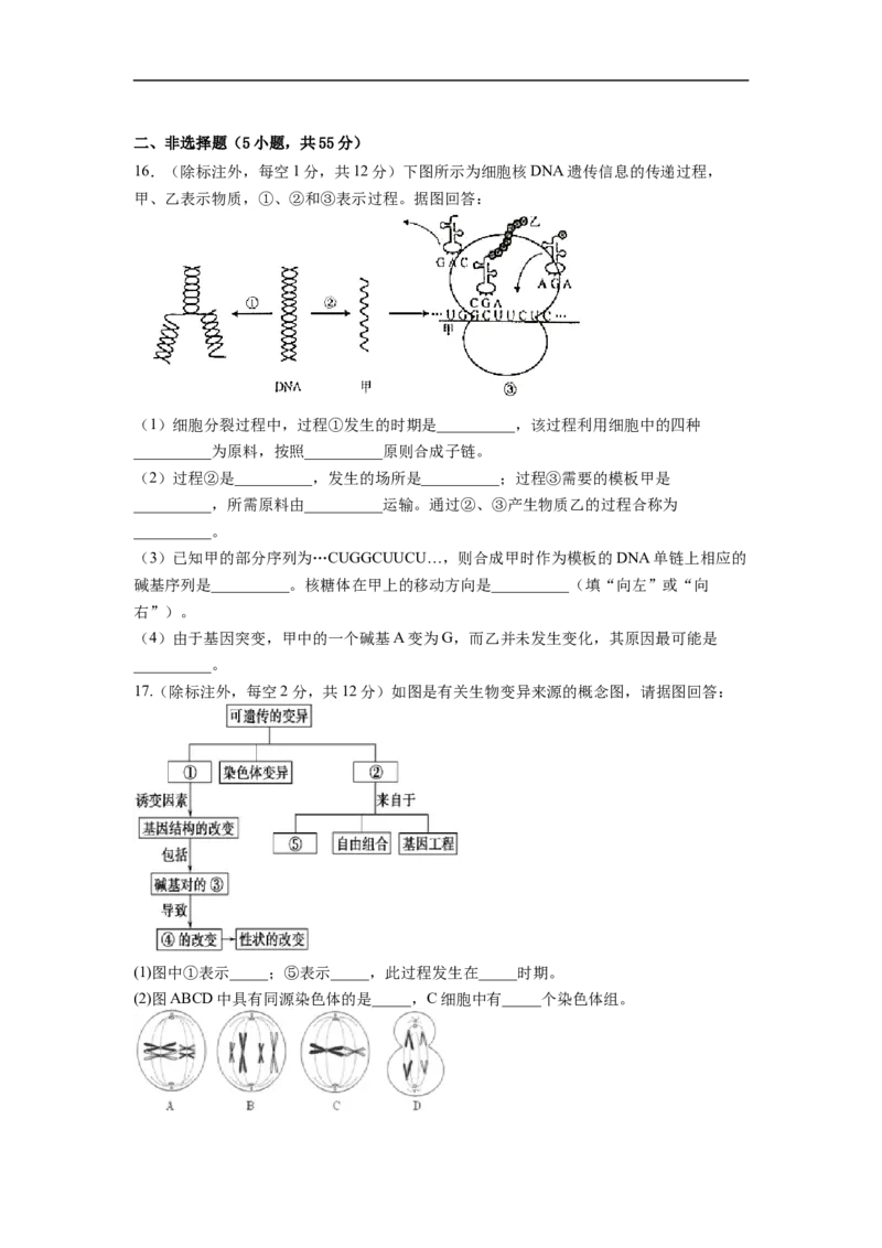 四川省眉山市仁寿县第一中学校南校区2025-2026学年高二上学期12月月考生物试题（含答案）_2024-2025高二（7-7月题库）_2026年1月高二