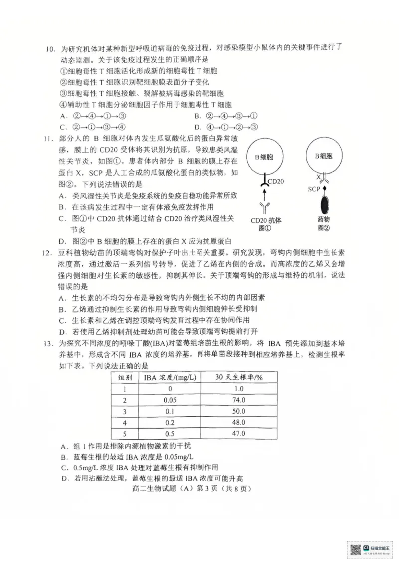 山东省菏泽市一中学2025-2026学年高二上学期期中考试生物试题（扫描版，有答案）_251217山东省菏泽市2025-2026学年高二上学期期中联考