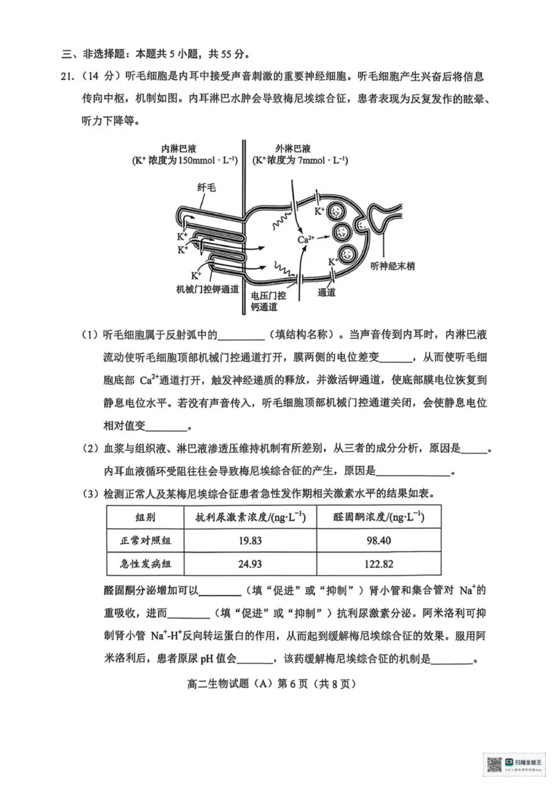 山东省菏泽市一中学2025-2026学年高二上学期期中考试生物试题（扫描版，有答案）_251217山东省菏泽市2025-2026学年高二上学期期中联考
