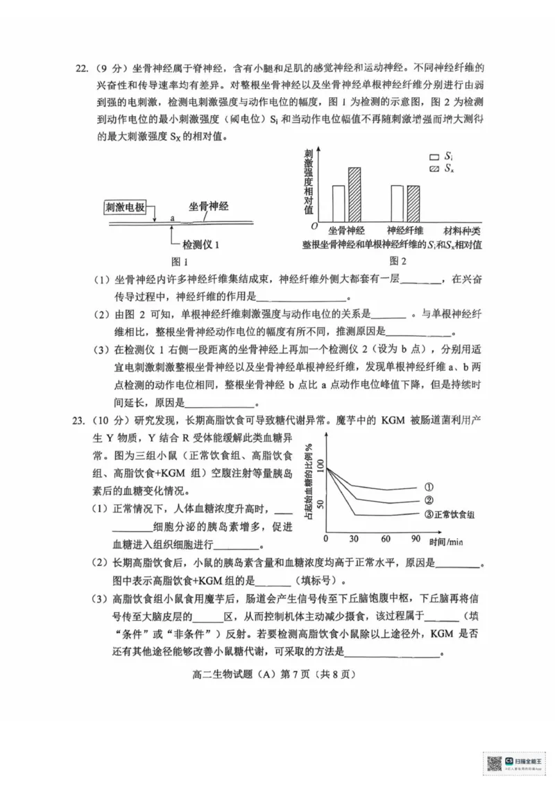 山东省菏泽市一中学2025-2026学年高二上学期期中考试生物试题（扫描版，有答案）_251217山东省菏泽市2025-2026学年高二上学期期中联考