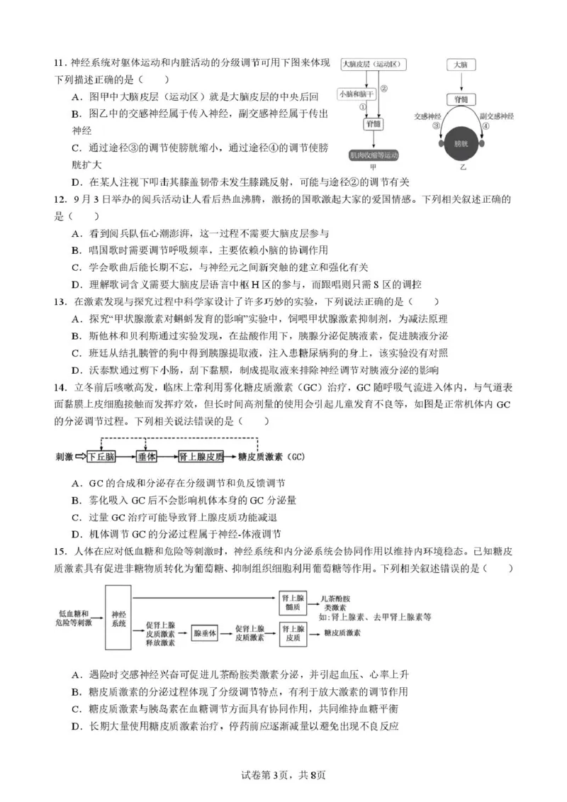 2025-2026开封高中27届高二年级上学期10月质量检测-生物答案_2025年10月高二试卷_251023河南省开封高级中学2025-2026学年高二上学期10月质量检测