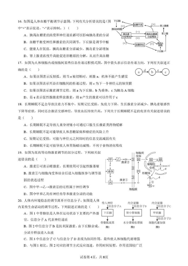 2025-2026开封高中27届高二年级上学期10月质量检测-生物答案_2025年10月高二试卷_251023河南省开封高级中学2025-2026学年高二上学期10月质量检测