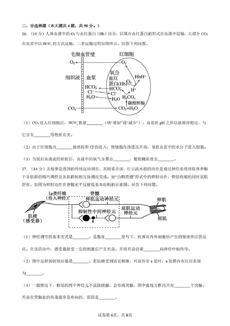 2025-2026开封高中27届高二年级上学期10月质量检测-生物答案_2025年10月高二试卷_251023河南省开封高级中学2025-2026学年高二上学期10月质量检测
