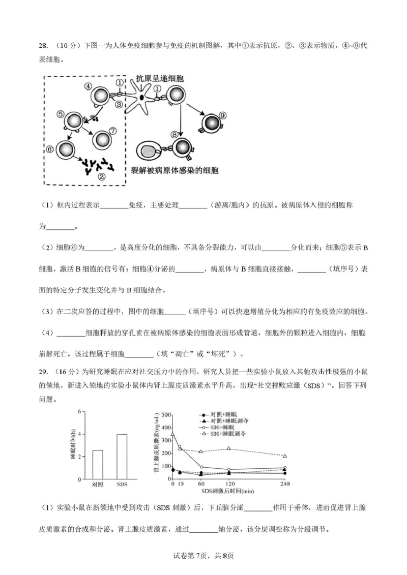 2025-2026开封高中27届高二年级上学期10月质量检测-生物答案_2025年10月高二试卷_251023河南省开封高级中学2025-2026学年高二上学期10月质量检测