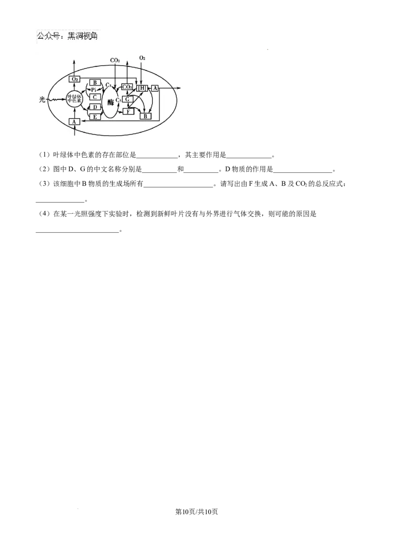江西省宜春市丰城市第九中学2024-2025学年高三上学期第一次段考生物_2024-2025高三（6-6月题库）_2024年10月试卷_1026江西省宜春市丰城市第九中学2024-2025学年高三上学期第一次段考（全）