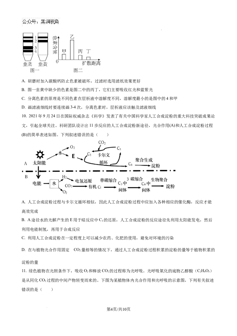 江西省宜春市丰城市第九中学2024-2025学年高三上学期第一次段考生物_2024-2025高三（6-6月题库）_2024年10月试卷_1026江西省宜春市丰城市第九中学2024-2025学年高三上学期第一次段考（全）