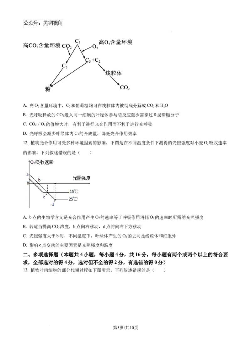 江西省宜春市丰城市第九中学2024-2025学年高三上学期第一次段考生物_2024-2025高三（6-6月题库）_2024年10月试卷_1026江西省宜春市丰城市第九中学2024-2025学年高三上学期第一次段考（全）